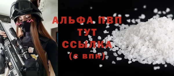 СК Алексин