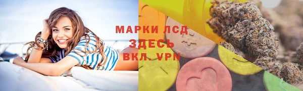 СК Алексин