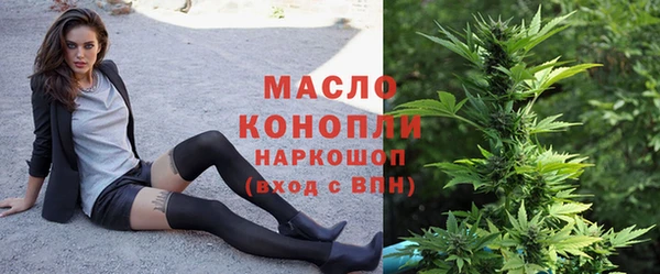 СК Алексин