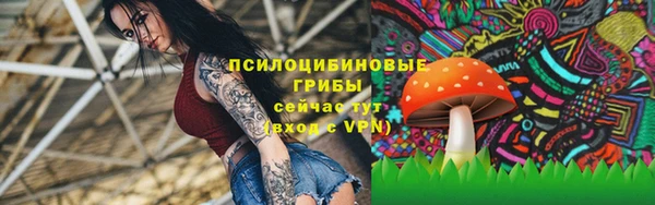 марки lsd Алексеевка