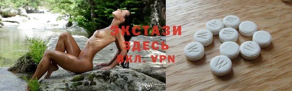 СК Алексин